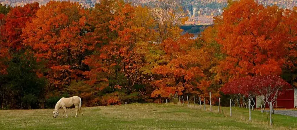 Église Évangélique à Mont-Tremblant – Assemblée Chrétienne Locale